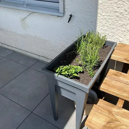 Chantefeuille Maison * La Forge